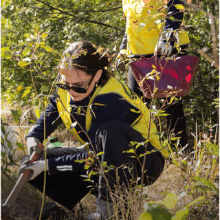 NZ Social Templates -1